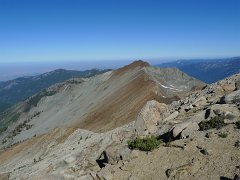 MineralKingLoop 277